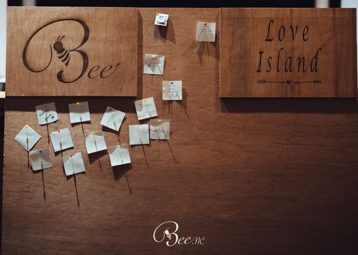 Le tableau Love Island et ses mots épinglés, soirée Bee